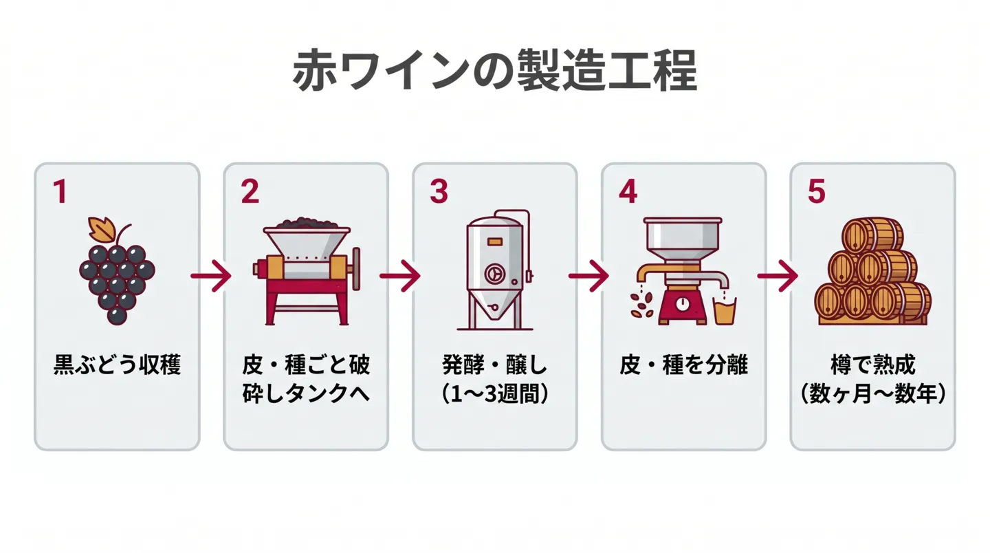 赤ワインは黒ぶどうを収穫した後、皮や種ごと潰してタンクに入れて発酵させ、1〜3週間の発酵期間中に皮の色素とタンニン、種の渋み成分が果汁へ移行する。発酵を終えたあとは皮や種を取り除き、オーク樽やステンレスタンクで数ヶ月から数年熟成させて完成する