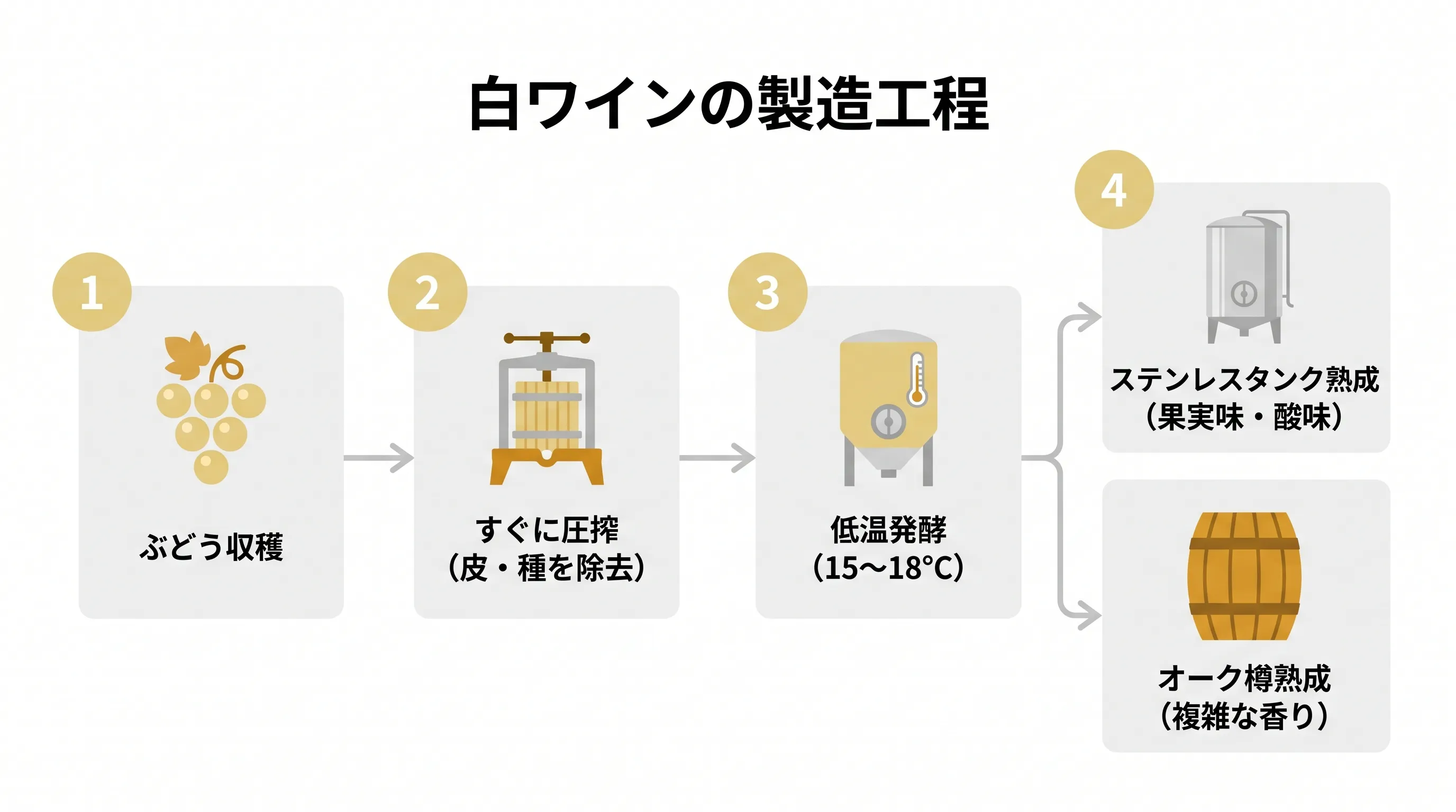 白ワインは収穫したぶどうをすぐに圧搾して果汁だけを取り出し、皮や種を取り除いた状態で15〜18℃の低温で発酵させ、その後ステンレスタンクで熟成して果実味と酸味を際立たせるか、オーク樽で熟成してバニラやバター、ナッツの複雑な香りを加えて仕上げる