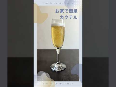 お家で簡単カクテル～ビアスプリッツァー～