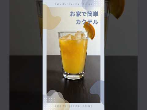 【オレンジブロッサム】お家で簡単！カクテルの作り方 #カクテル #レシピ