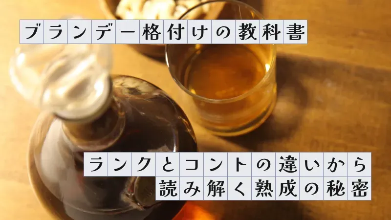 ブランデー格付けの教科書〜ランクとコントの違いから読み解く熟成の秘密〜