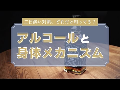 二日酔い撃退！アルコールの分解時間と体内メカニズム